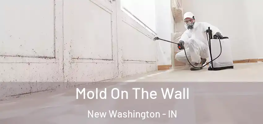  Mold On The Wall New Washington - IN