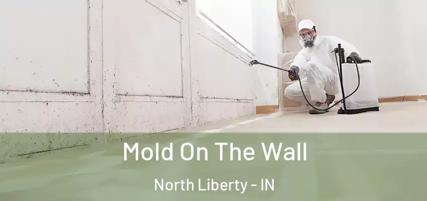  Mold On The Wall North Liberty - IN