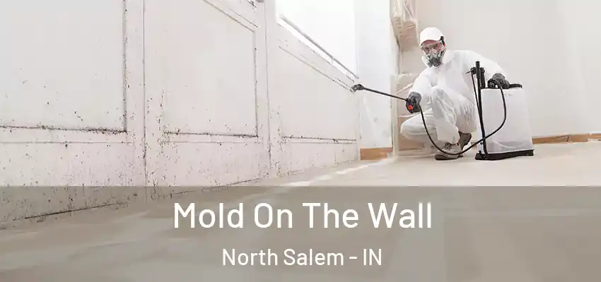 Mold On The Wall North Salem - IN