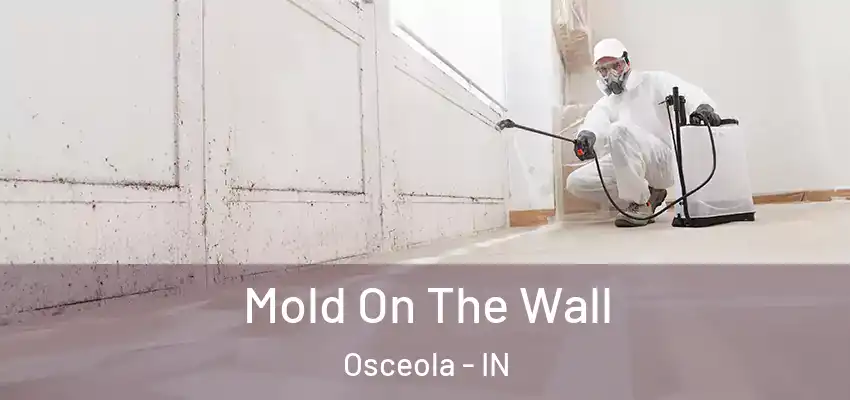  Mold On The Wall Osceola - IN