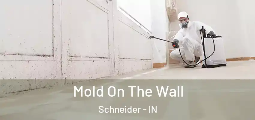  Mold On The Wall Schneider - IN