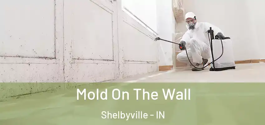  Mold On The Wall Shelbyville - IN