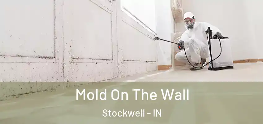 Mold On The Wall Stockwell - IN