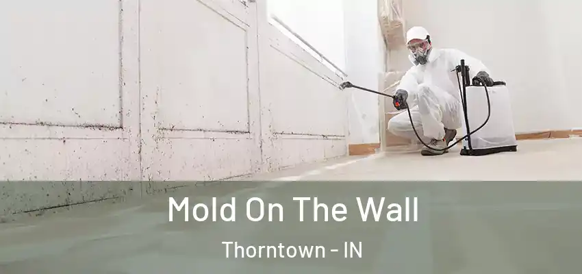  Mold On The Wall Thorntown - IN