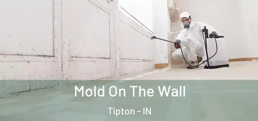  Mold On The Wall Tipton - IN