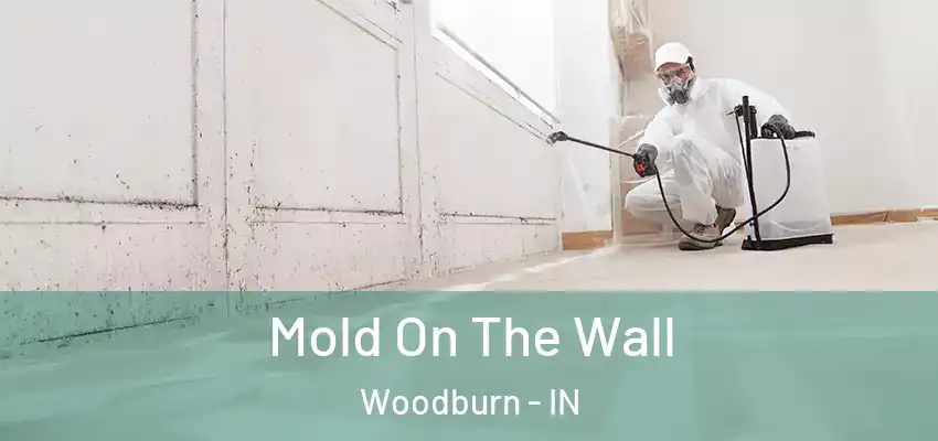  Mold On The Wall Woodburn - IN