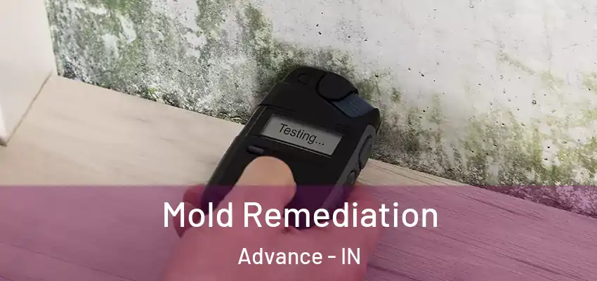 Mold Remediation Advance - IN