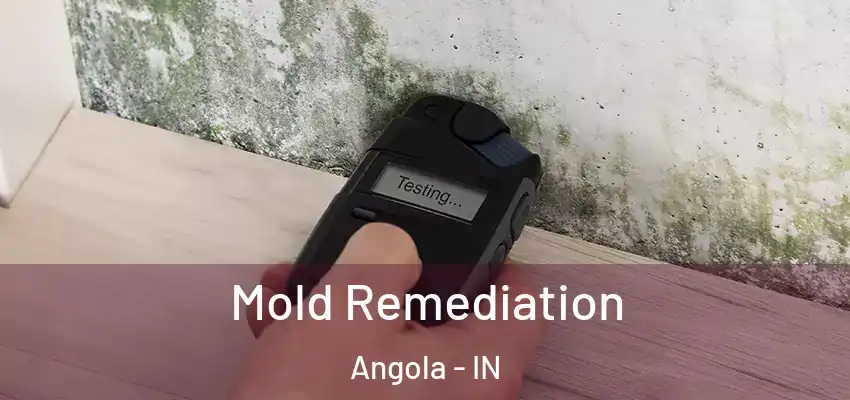  Mold Remediation Angola - IN