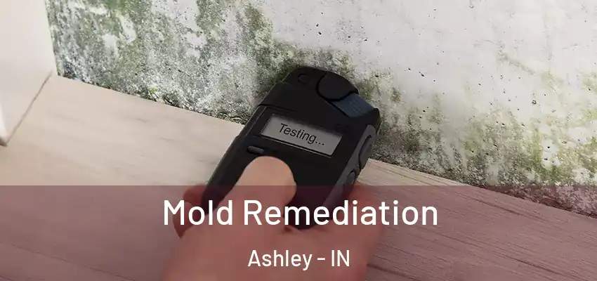  Mold Remediation Ashley - IN