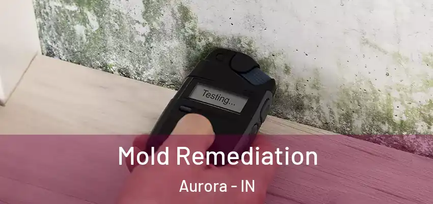  Mold Remediation Aurora - IN