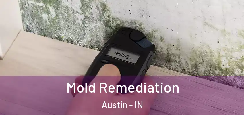 Mold Remediation Austin - IN