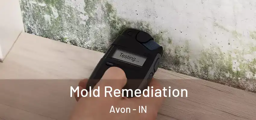 Mold Remediation Avon - IN
