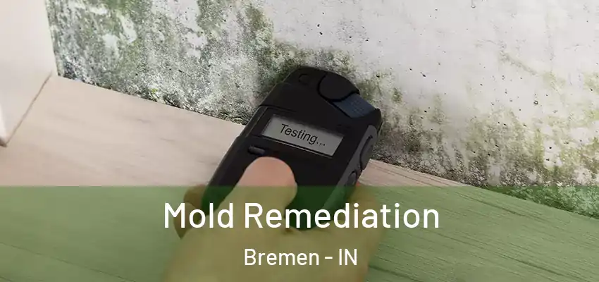  Mold Remediation Bremen - IN