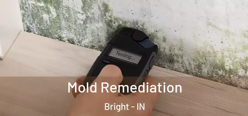 Mold Remediation Bright - IN