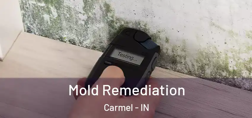  Mold Remediation Carmel - IN