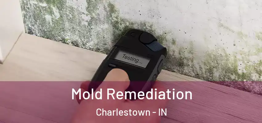 Mold Remediation Charlestown - IN