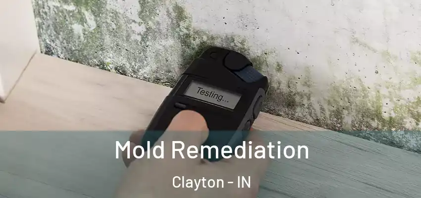  Mold Remediation Clayton - IN