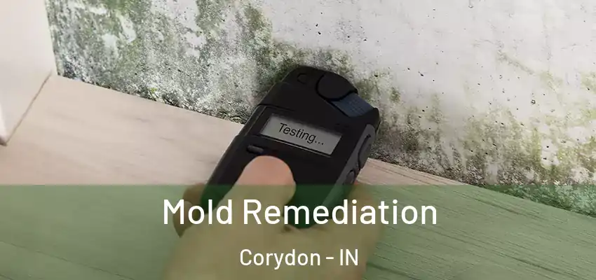 Mold Remediation Corydon - IN