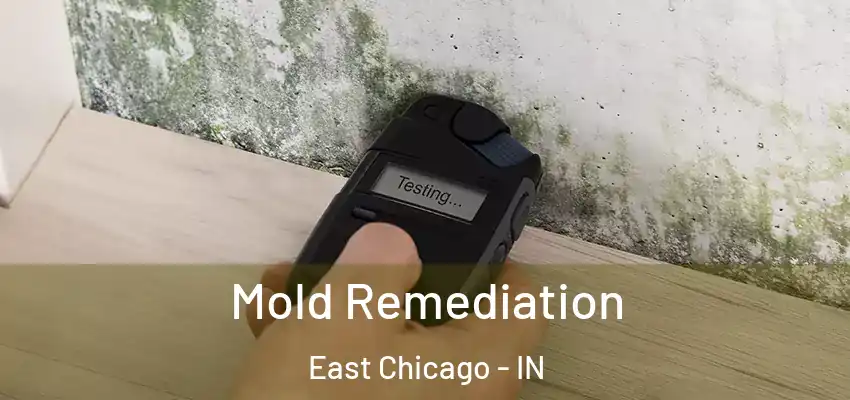 Mold Remediation East Chicago - IN