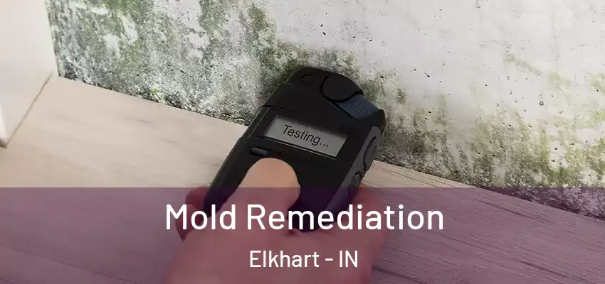  Mold Remediation Elkhart - IN