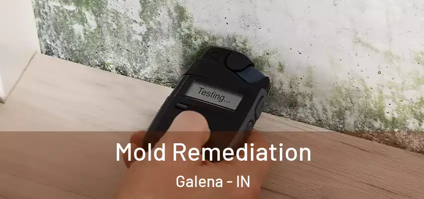  Mold Remediation Galena - IN