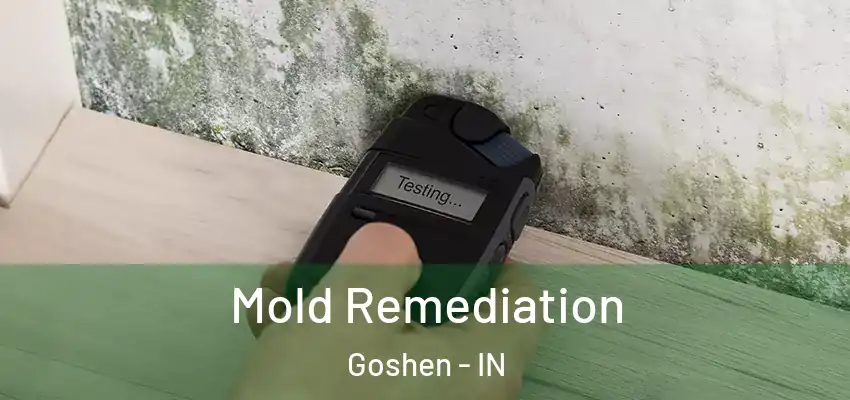  Mold Remediation Goshen - IN