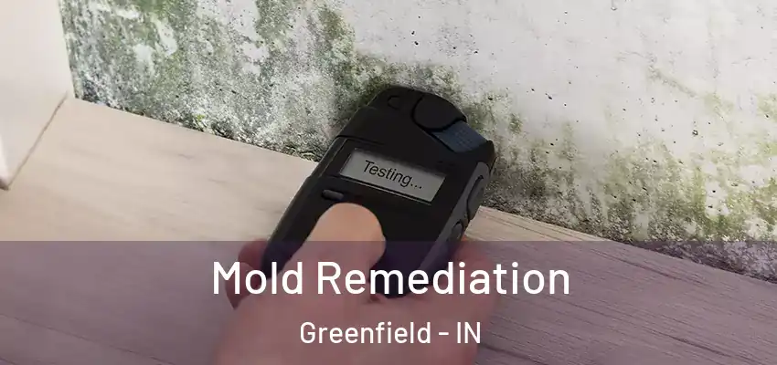  Mold Remediation Greenfield - IN