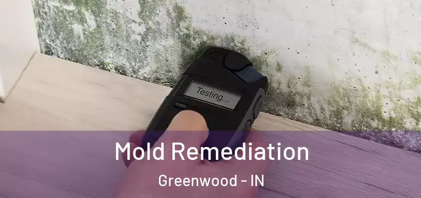 Mold Remediation Greenwood - IN