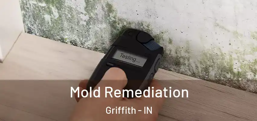  Mold Remediation Griffith - IN