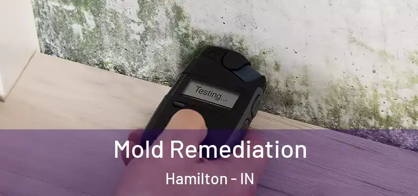 Mold Remediation Hamilton - IN