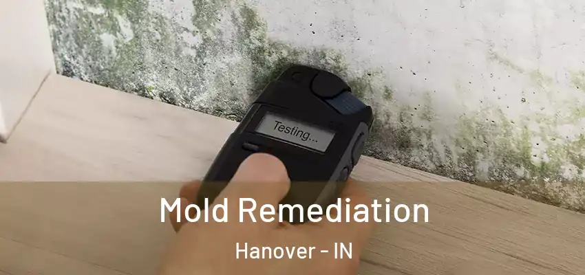  Mold Remediation Hanover - IN