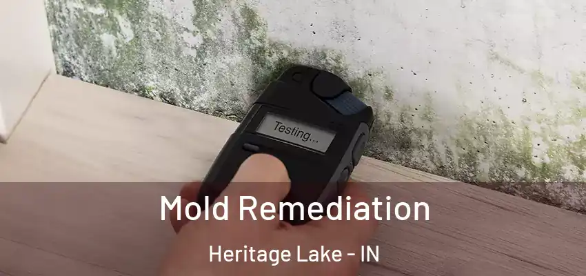 Mold Remediation Heritage Lake - IN