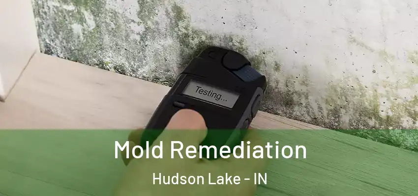  Mold Remediation Hudson Lake - IN
