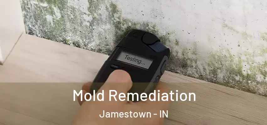 Mold Remediation Jamestown - IN