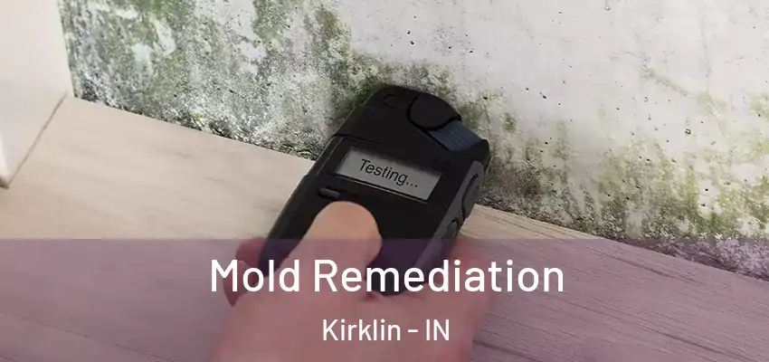  Mold Remediation Kirklin - IN