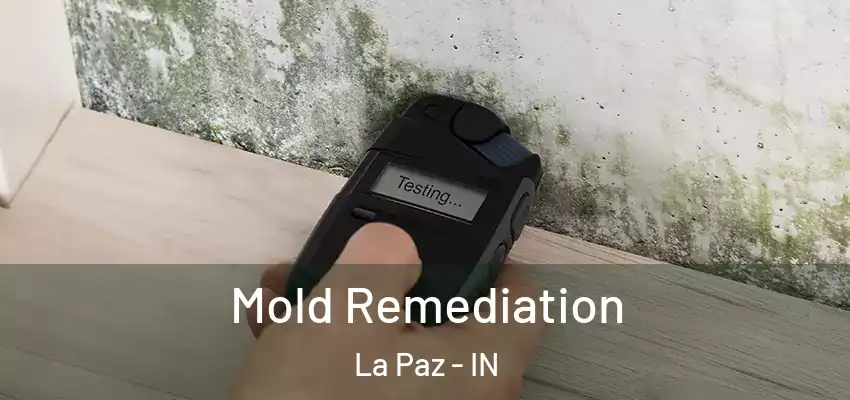  Mold Remediation La Paz - IN