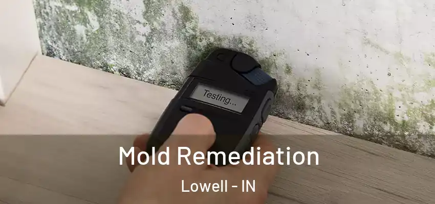  Mold Remediation Lowell - IN