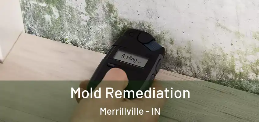  Mold Remediation Merrillville - IN