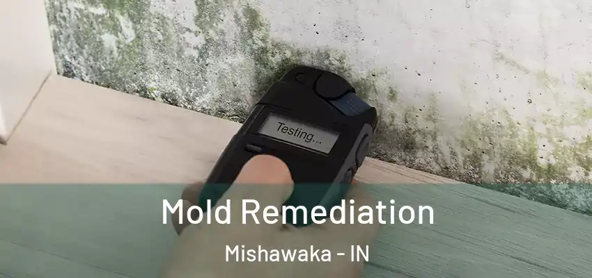  Mold Remediation Mishawaka - IN