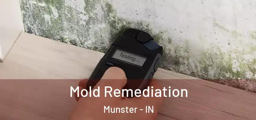  Mold Remediation Munster - IN