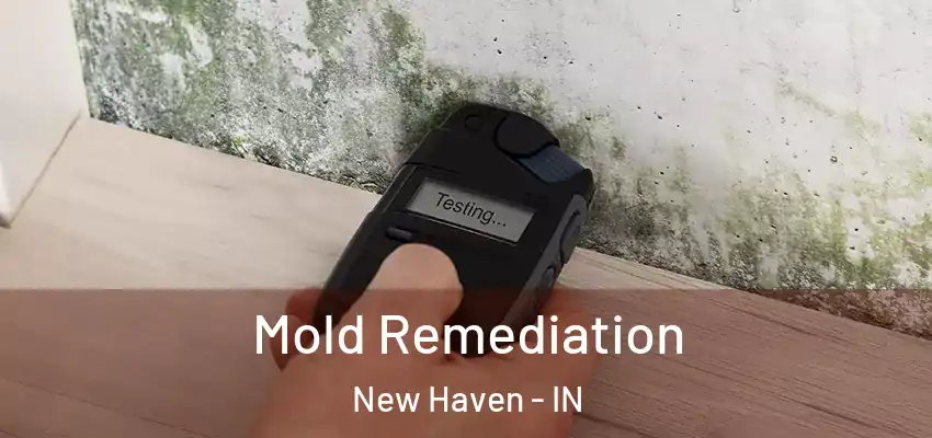  Mold Remediation New Haven - IN