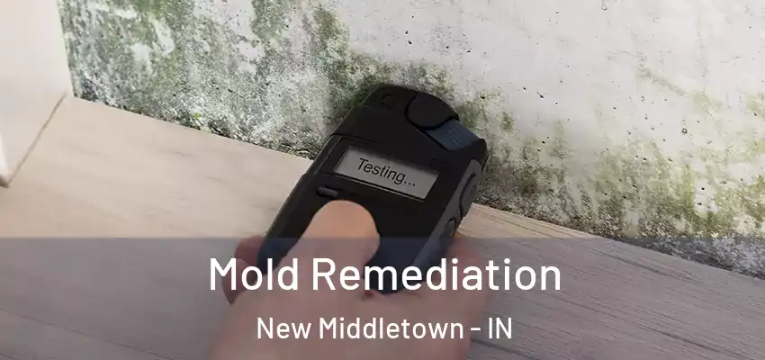  Mold Remediation New Middletown - IN