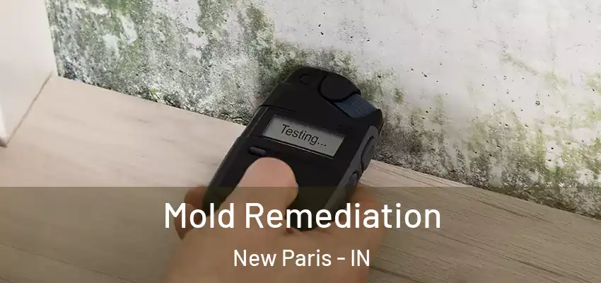  Mold Remediation New Paris - IN