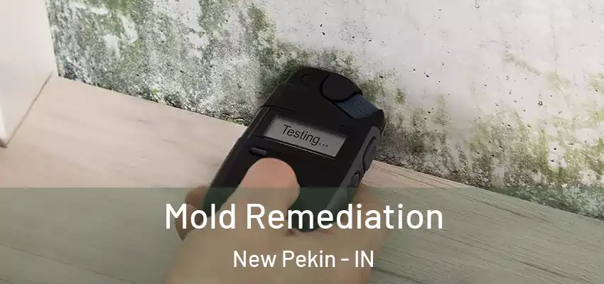 Mold Remediation New Pekin - IN