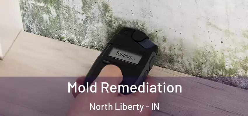  Mold Remediation North Liberty - IN