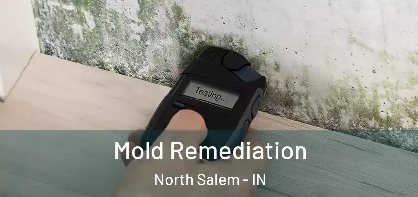  Mold Remediation North Salem - IN