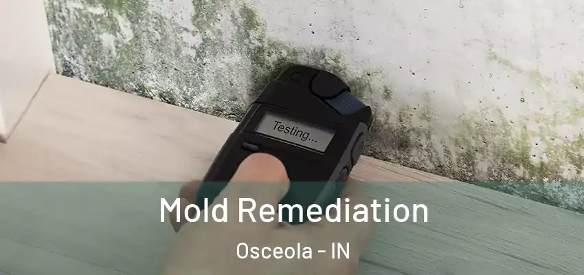  Mold Remediation Osceola - IN