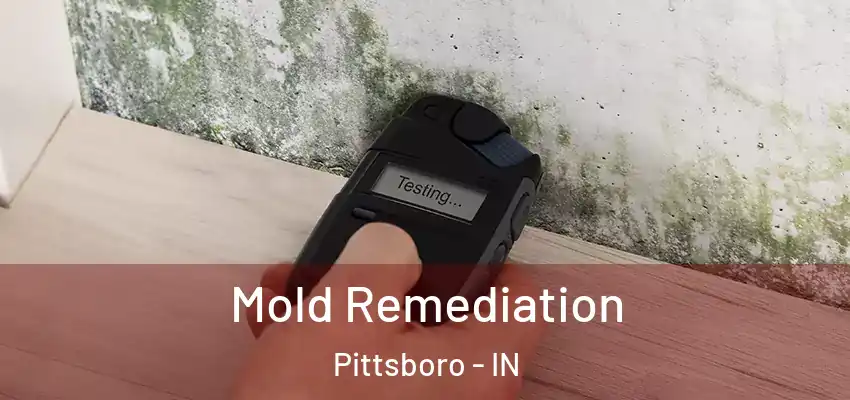  Mold Remediation Pittsboro - IN