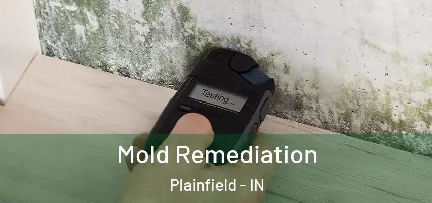  Mold Remediation Plainfield - IN