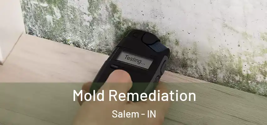  Mold Remediation Salem - IN